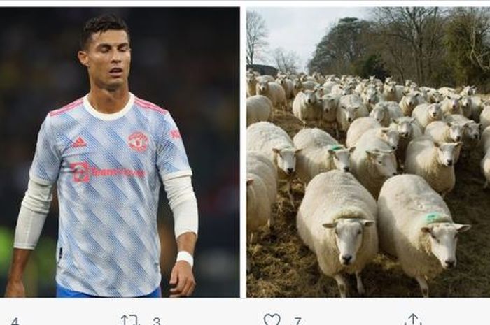 Megabintang Manchester United, Cristiano Ronaldo, terpaksa pindah dari rumah yang baru dihuni kurang dari seminggu lantaran &quot;tetangganya&quot; yang berisik.