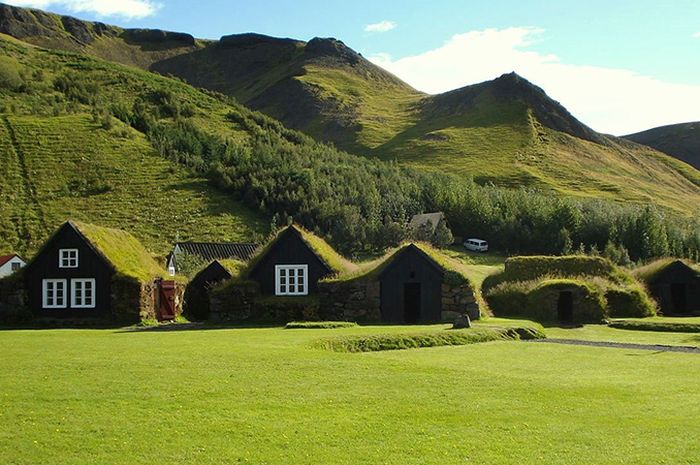 Wow, Rumah Ini Dipenuhi dengan Rumput! - Bobo.Grid.ID