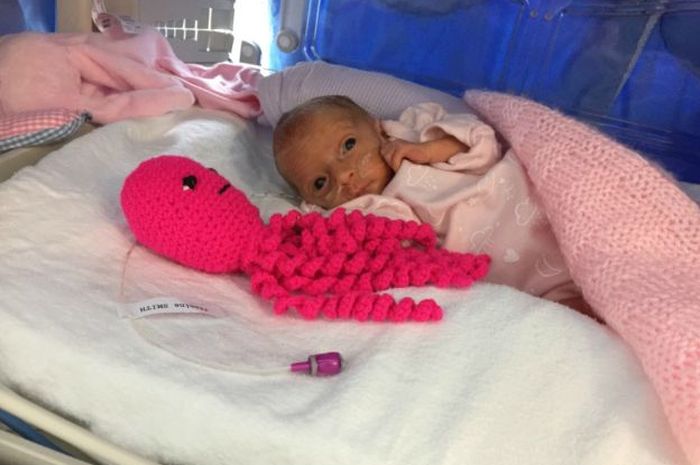 menakjubkan boneka gurita ini bisa membantu bayi prematur tetap hidup semua halaman nakita id menakjubkan boneka gurita ini bisa membantu bayi prematur tetap hidup semua halaman nakita id