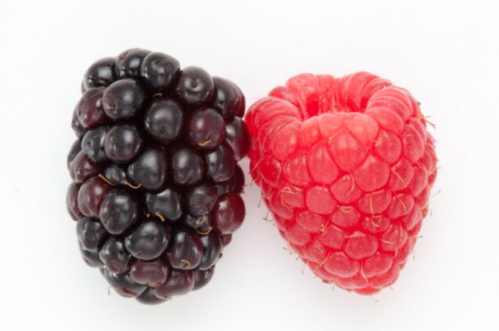 Blackberry dan Raspberry. Buah-buah beri mengandung antioksidan (flavonoid dan karotenoid) yang pent