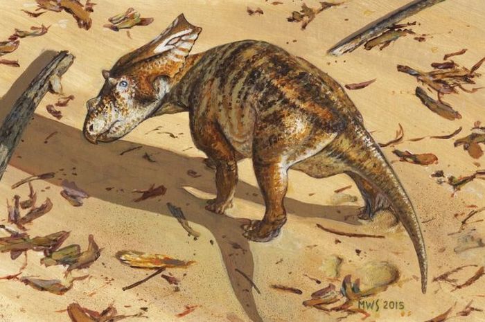 Kerangka Dinosaurus Menggemaskan Ditemukan National Geographic