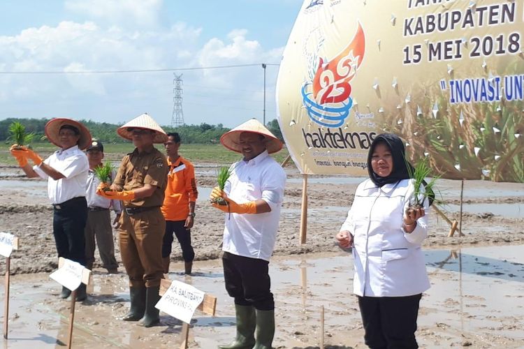 Teknologi IPAT BO Tingkatkan Keuntungan Petani Kampar Dua Kali Lipat