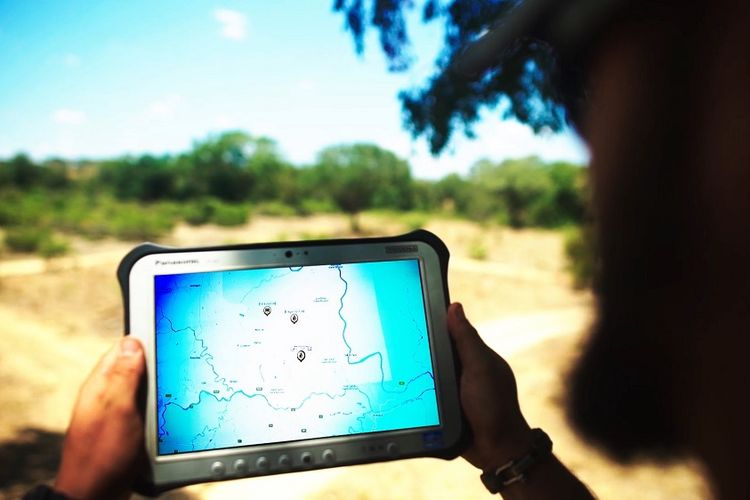 Teknologi Dimension Data Selamatkan Nyawa Badak dan Gajah di Afrika