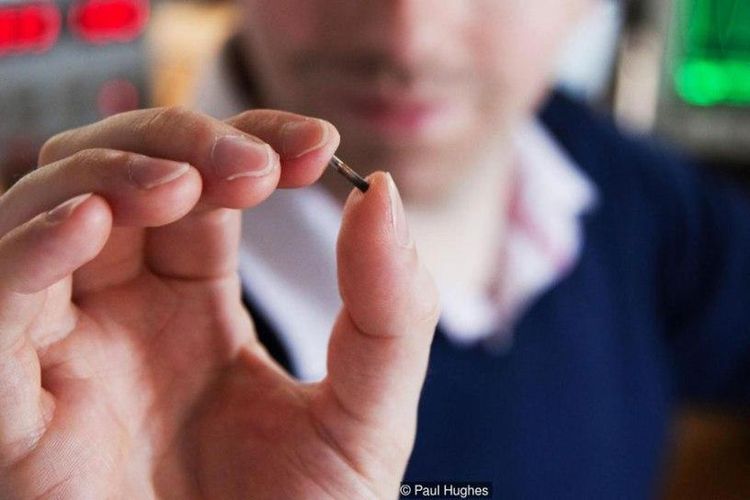 Warga Swedia Tanam Microchip di Tubuh untuk Bayar Tiket Kereta