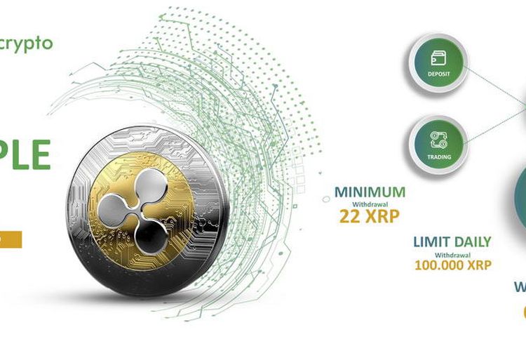 Setelah Bitcoin dan Ethereum, Ripple Resmi Hadir di Tokocrypto