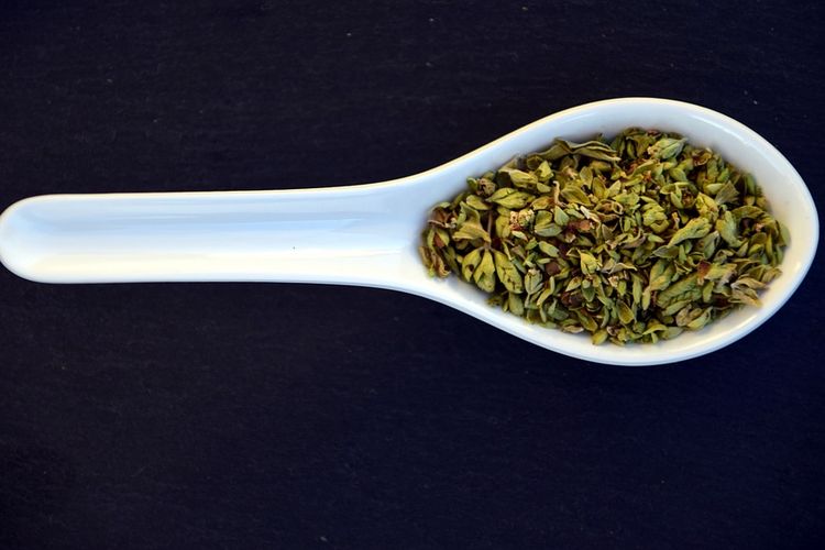 Berita Itali Terbaru Hari Ini Bobo