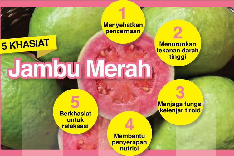 Manfaat jus jambu merah