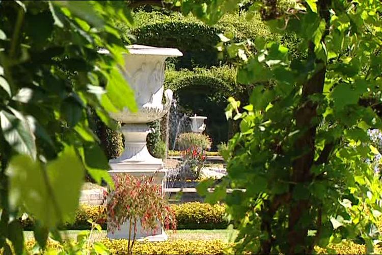 Kisah Pot Bunga Raja Intisari