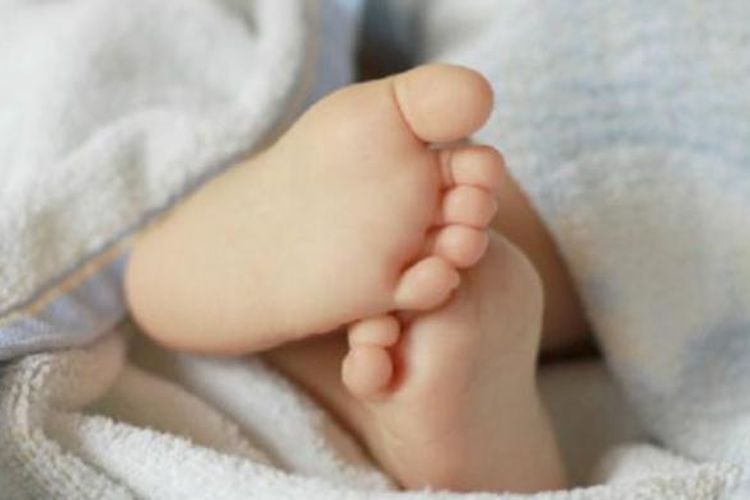 Empat Langkah Membesarkan Bayi Berdasarkan Kepribadiannya