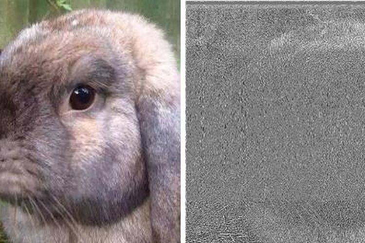 Hal Mengerikan Yang Terjadi Saat Kita Mengunggah Foto Yang Sama Berulangkali Di Instagram Intisari