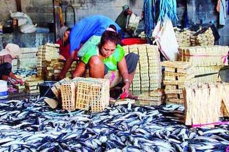 Harga Ikan Turun Berkat Penanganan Illegal Fishing oleh Menteri Susi?