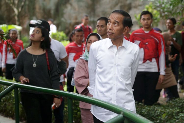 Presiden Republik Indonesia, Joko Widodo beserta istri serta dua anaknya berlibur ke Kebun Binatang Ragunan, Jakarta, Kamis (29/6/2017).