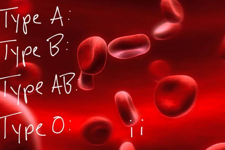 Istimewa paling golongan darah 5 Fakta