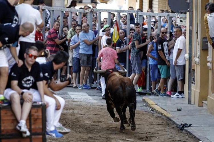 Seorang bull runner menjadi korban dalam ajang lari banteng. Ia ditanduk hewan bertubuh besar itu hingga terluka parah dan akhirnya tewas.