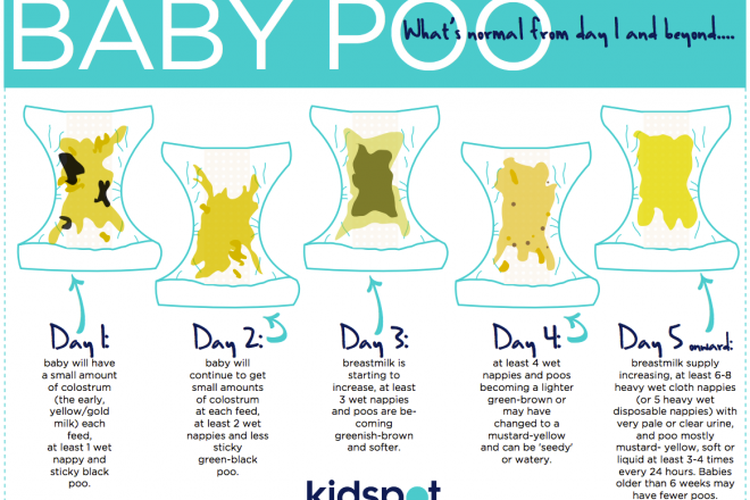 Pengalaman Menarik Bermain Dengan Pup Bayi Hijau: Tips Fakta Menarik Dan Panduan Perawatan Warna Pup Bayi Asi Dan Sufor - Kompas Sekolah