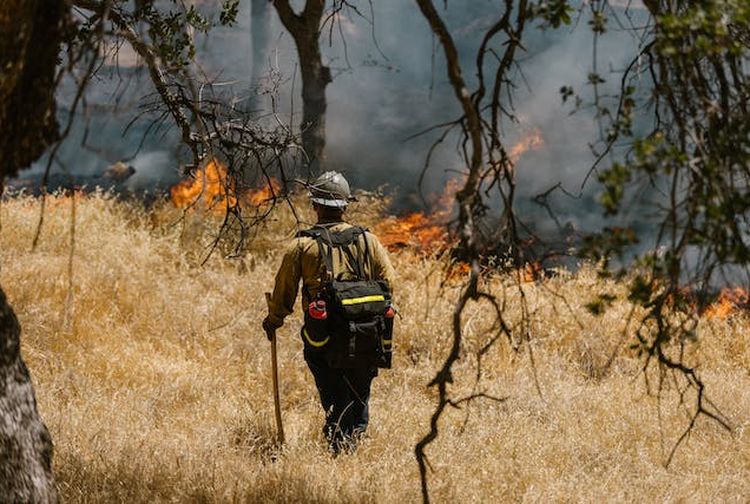 Geografi Kelas XI SMA 8 Faktor Penyebab Kebakaran Hutan Dan Dampaknya