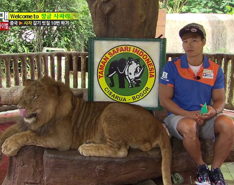 Selain Pantai Timang Running Man Pernah Datang Ke Lokasi Lokasi Di Indonesia Ini Cewekbanget Selain Pantai Timang Running Man Pernah Datang Ke Lokasi Lokasi Di Indonesia Ini Cewekbanget