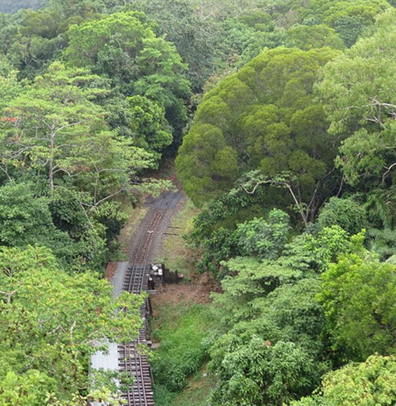 Yuk Kita Lihat 5 Hutan Hujan Tercantik Di Dunia Semua Halaman Bobo