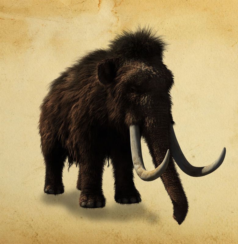 Mammoth Gajah Purba Berbulu Bobo