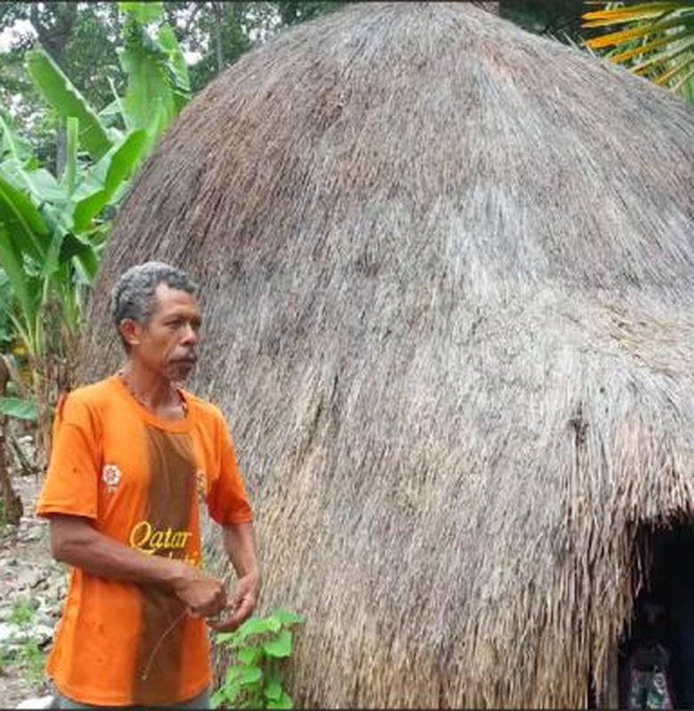 Berita Rumah Bulat Terbaru Hari Ini - Bobo