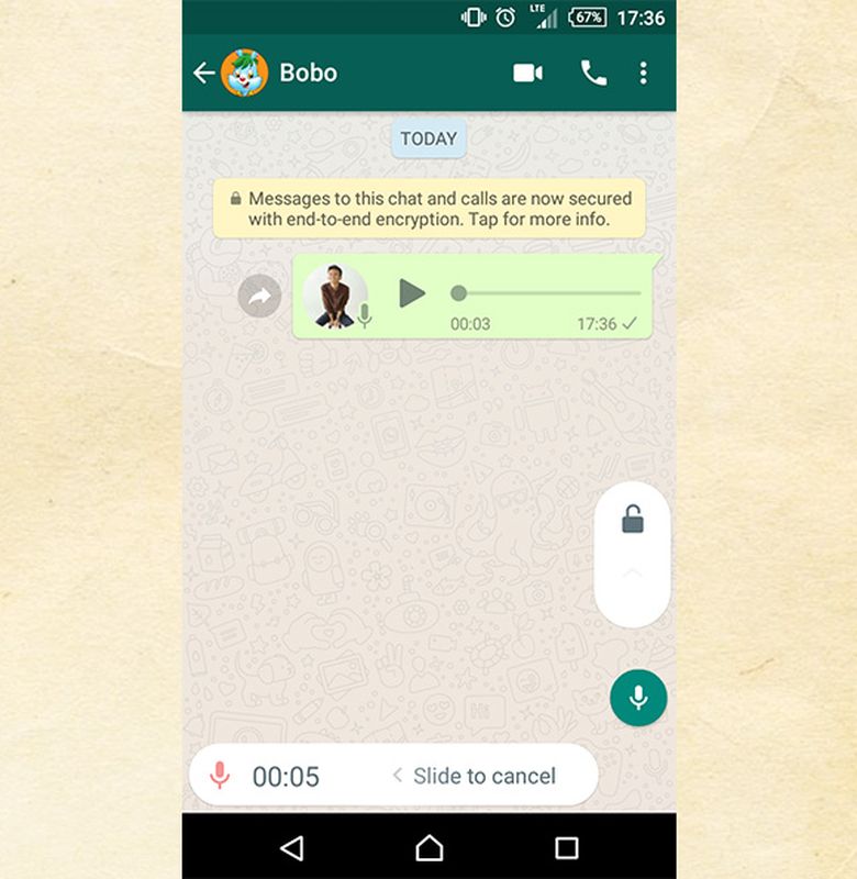 vn whatsapp 8