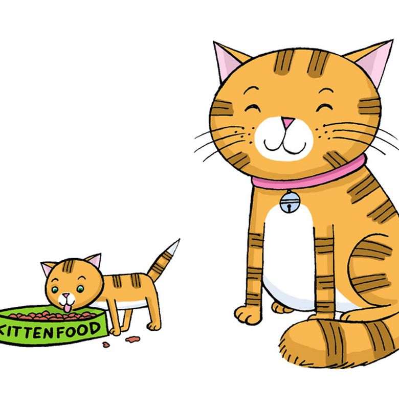 Kenapa Kucing Dan Anjing Suka Dielus Bobo