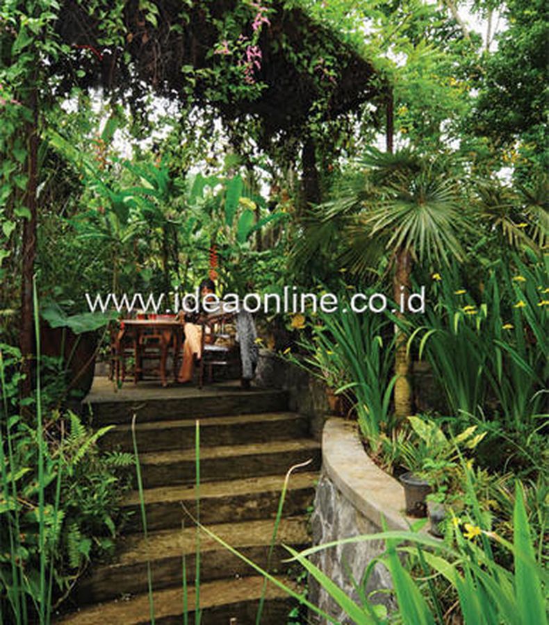 Hutan Kecil Di Halaman Rumah - Berkas Sekolah