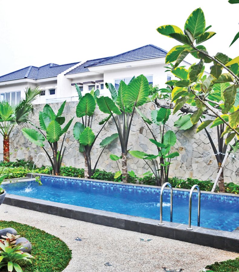 Berita Taman Tropis Modern terbaru hari ini