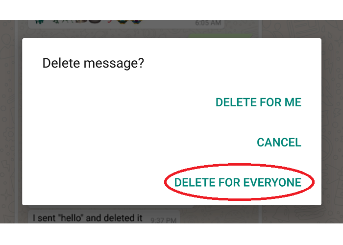 Sentuh opsi "delete for everyone agar pesan terhapus dari kedua belah pihak"