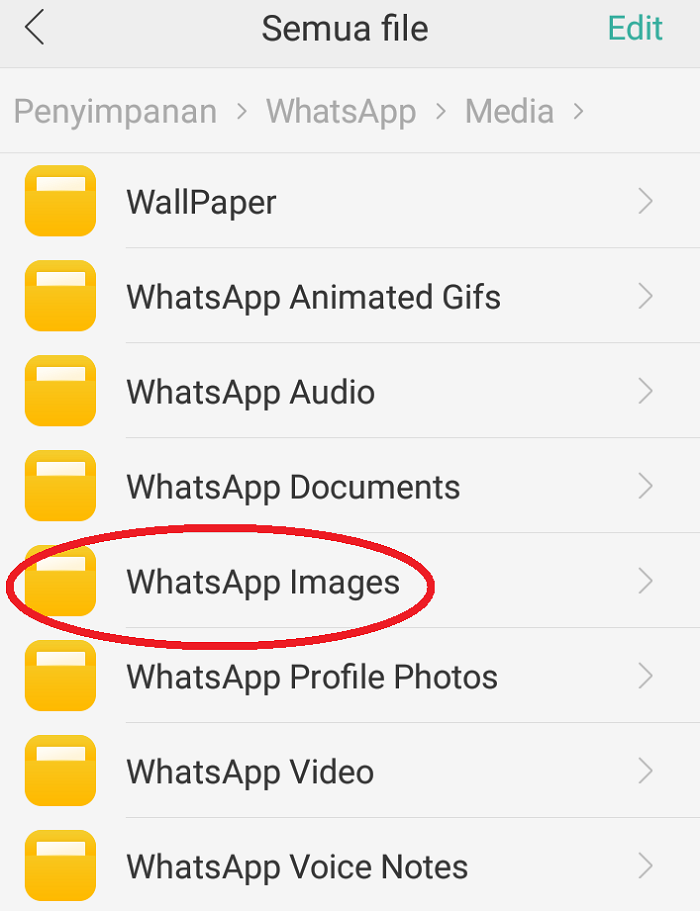 Klik folder WhatsApp Images