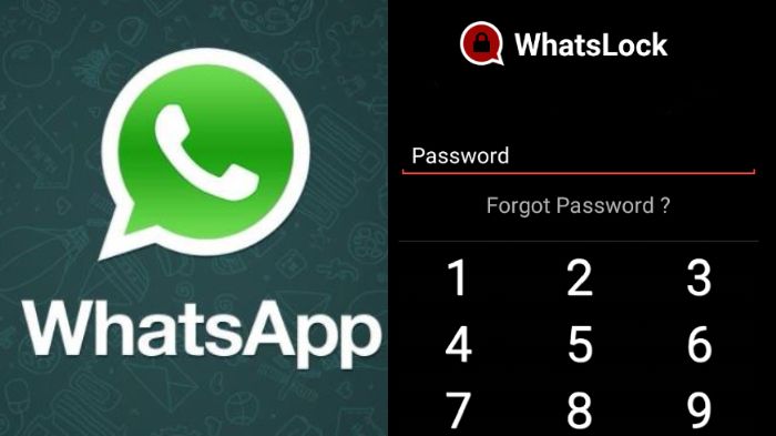 Buka WhatsApp kemudian masukkan password