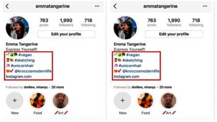 Instagram Izinkan Hashtag Dan Akun Lain Muncul Di Bio Pengguna