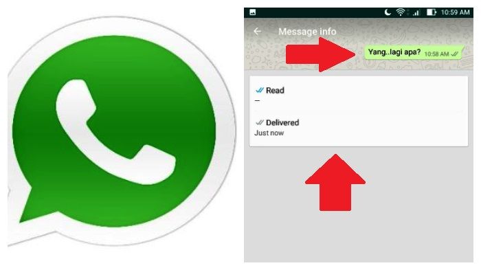Kerugian Mematikan Centang Biru Dan Status Last Seen Di Whatsapp