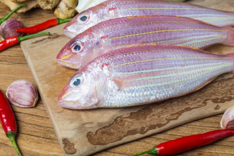 Catat Ini Daftar Ikan Yang Punya Kandungan Merkuri Tinggi Semua Halaman Nakita
