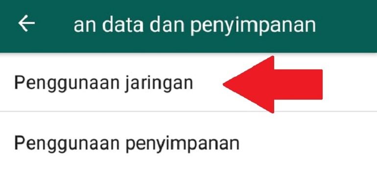 Pilih opsi Penggunaan jaringan