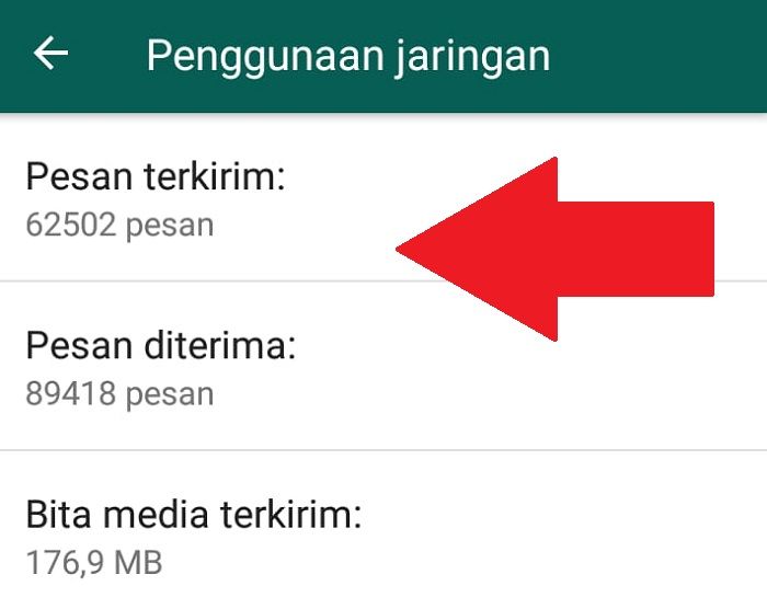 Tampilan pesan terkirim