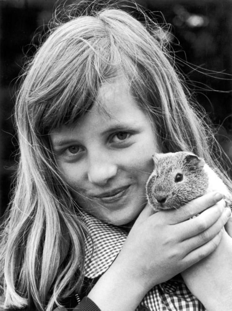 Diana sangat menyukai binatang. Dia tumbuh bersama anjing, kucing, hamster, dan kelinci.