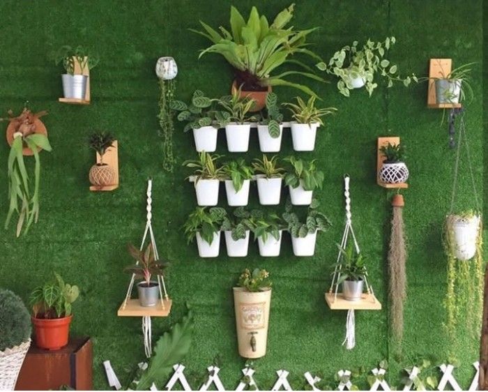 Perhatikan jenis tanaman yang digunakan di wall garden