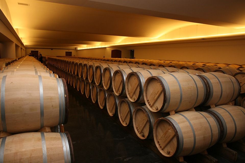 Ilustrasi gudang anggur