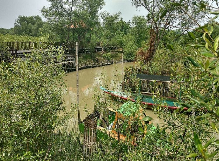 Ekowisata Mangrove