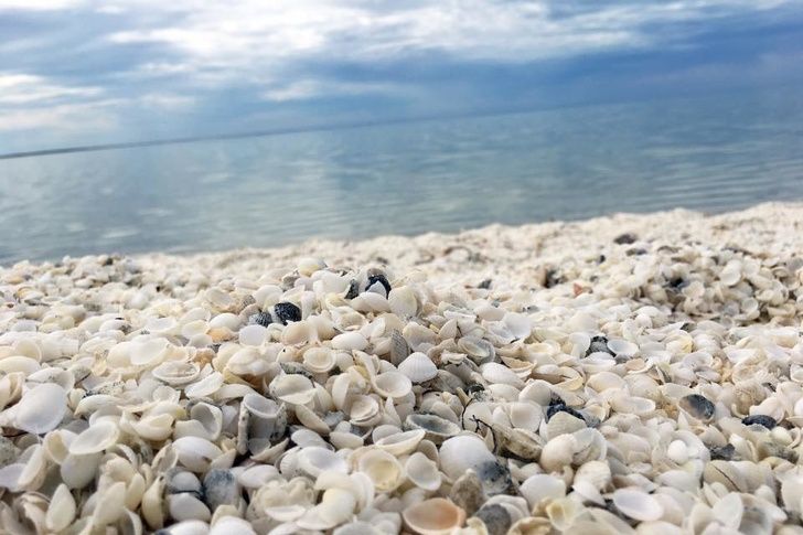 Shell Beach, Australia