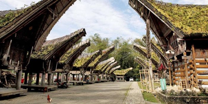 Rumah adat Toraja, Sulawesi