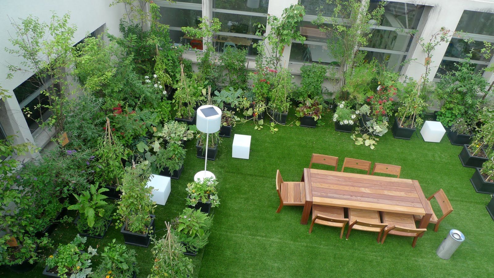 rooftop garden