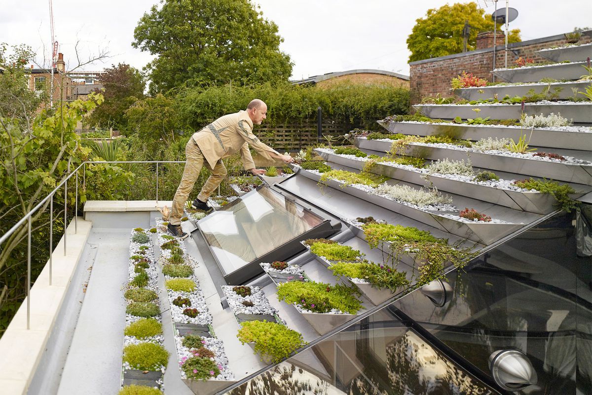 rooftop garden