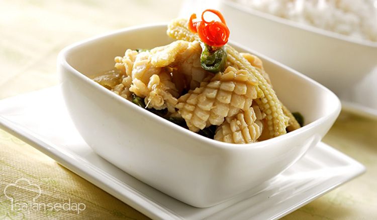 Yuk Belajar Aneka Variasi Potongan Cumi Yang Bisa Membuat Masakan Tampil Cantik Semua Halaman Sajian Sedap Yuk Belajar Aneka Variasi Potongan Cumi Yang Bisa Membuat Masakan Tampil Cantik Semua Halaman Sajian Sedap