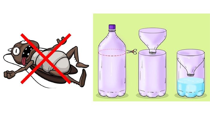 Cara Mudah Usir Semut Lalat Nyamuk Dan Serangga Lain Dari Rumah Dengan Cara Ini Semua Halaman Nakita