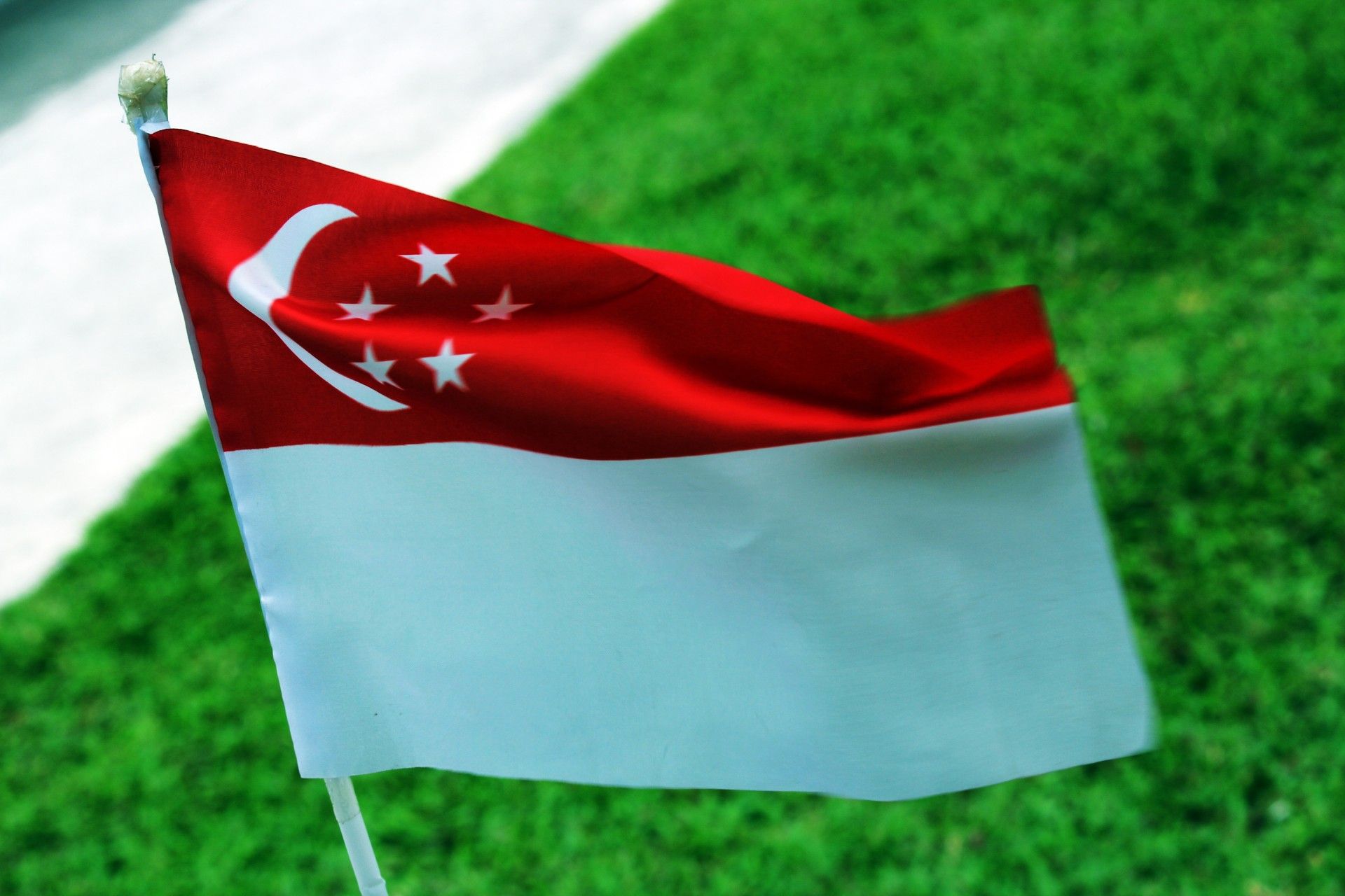 5 Bendera Hitam Hijau Kuning Merah Putih / Bendera itu sempat sobek di