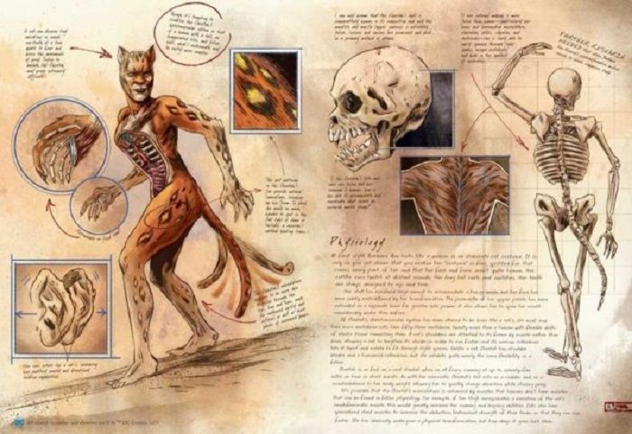 Anatomy of a Metahuman