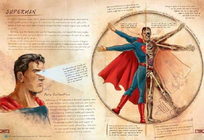 Anatomy of a Metahuman