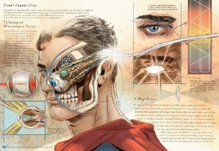 Anatomy of a Metahuman